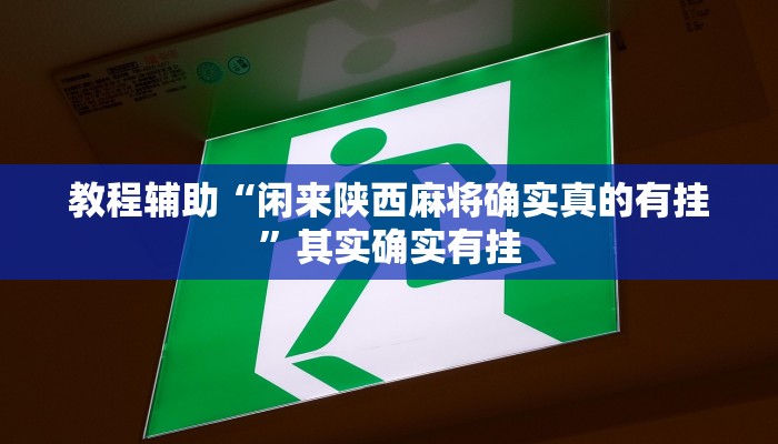 教程辅助“闲来陕西麻将确实真的有挂”其实确实有挂