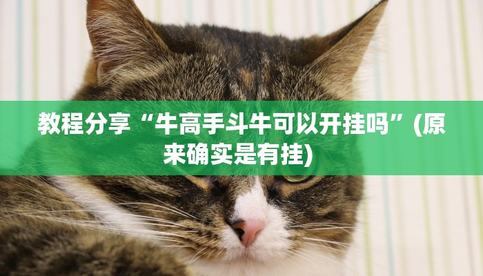 教程分享“牛高手斗牛可以开挂吗”(原来确实是有挂) 