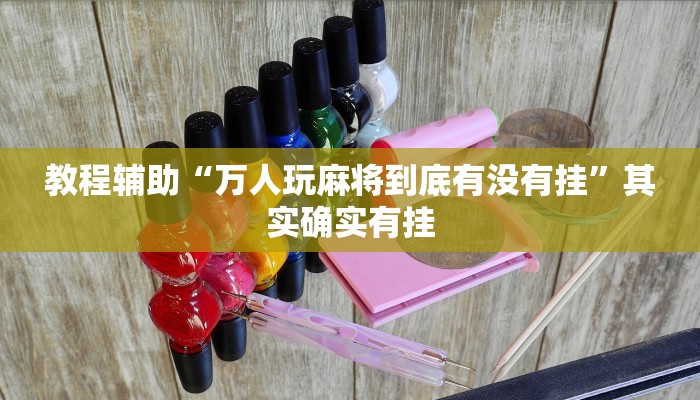 教程辅助“万人玩麻将到底有没有挂”其实确实有挂 教程辅助“万人玩麻将到底有没有挂”其实确实有挂