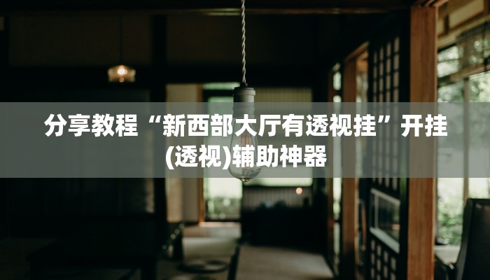 分享教程“新西部大厅有透视挂”开挂(透视)辅助神器