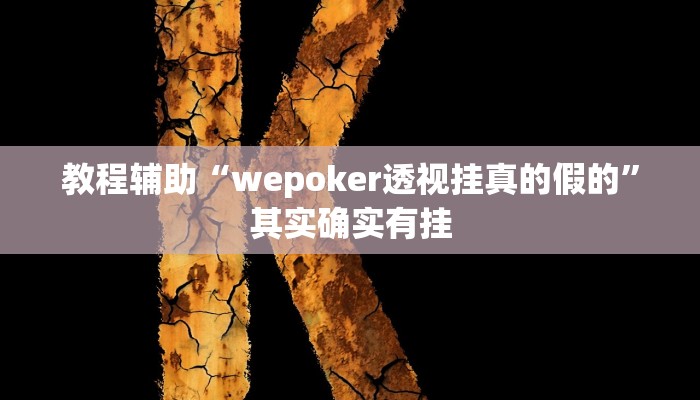 教程辅助“wepoker透视挂真的假的”其实确实有挂