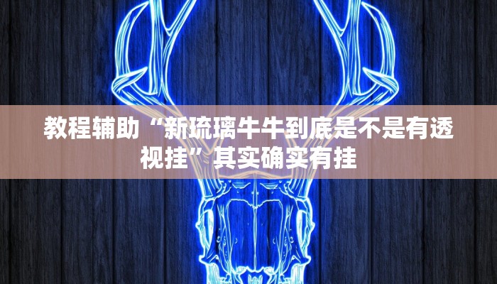 教程辅助“新琉璃牛牛到底是不是有透视挂”其实确实有挂
