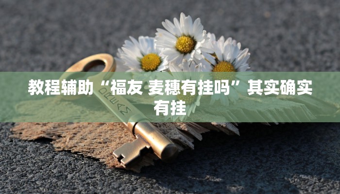 教程辅助“福友 麦穗有挂吗”其实确实有挂