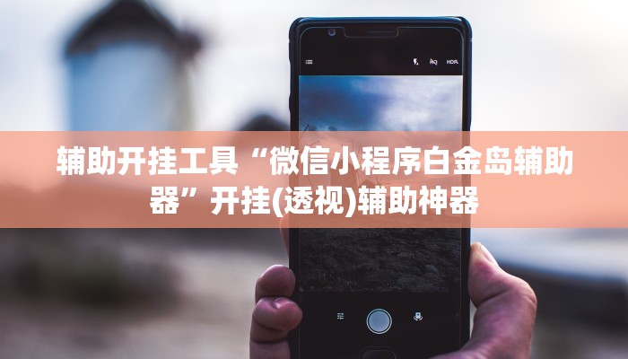 辅助开挂工具“微信小程序白金岛辅助器”开挂(透视)辅助神器