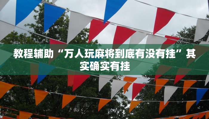 教程辅助“万人玩麻将到底有没有挂”其实确实有挂