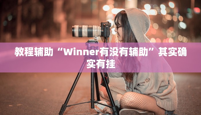 教程辅助“Winner有没有辅助”其实确实有挂