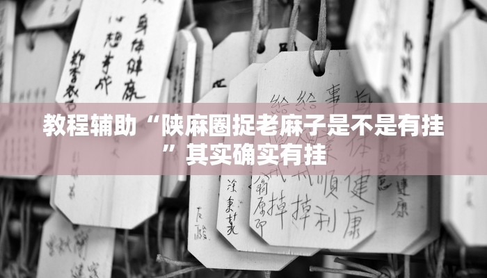 教程辅助“德扑之星开挂透视”其实确实有挂 教程辅助“德扑之星开挂透视”其实确实有挂