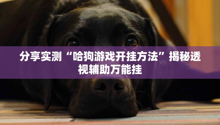 分享实测“哈狗游戏开挂方法”揭秘透视辅助万能挂