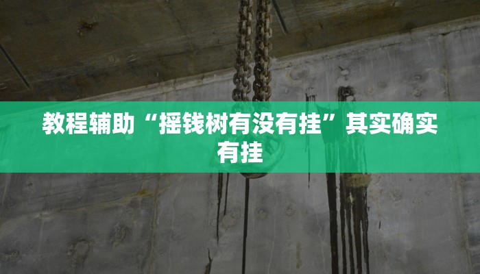分享教程“黑侠破解棋牌透视”开挂详细教程