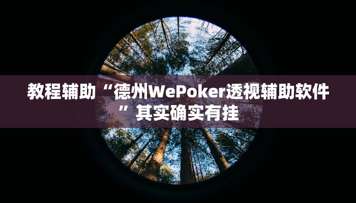 教程辅助“德州WePoker透视辅助软件”其实确实有挂