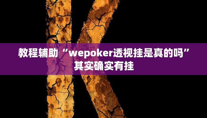 教程辅助“wepoker透视挂是真的吗”其实确实有挂
