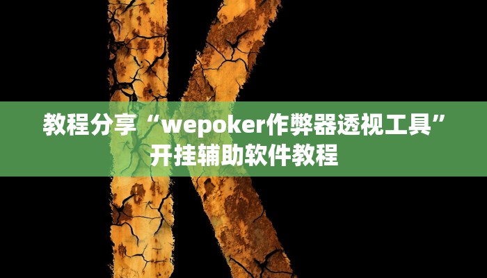 教程分享“wepoker作弊器透视工具”开挂辅助软件教程