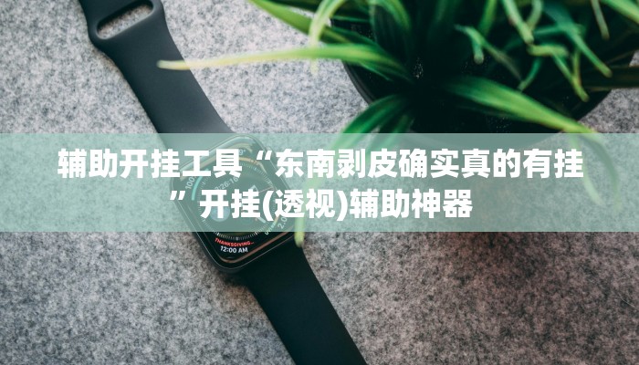 辅助开挂工具“东南剥皮确实真的有挂”开挂(透视)辅助神器