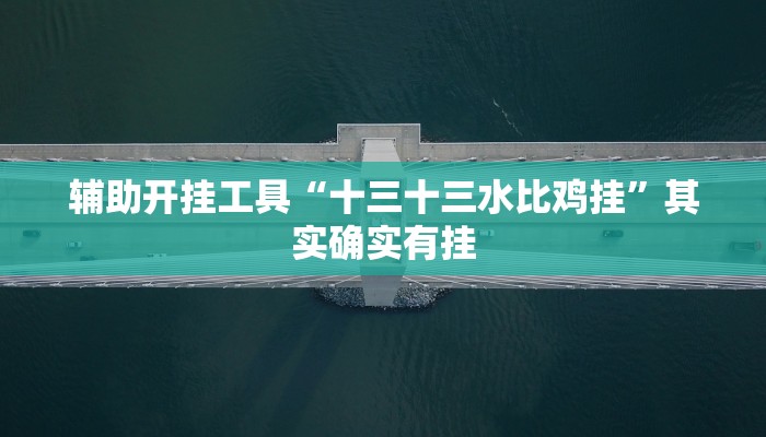 辅助开挂工具“十三十三水比鸡挂”其实确实有挂 辅助开挂工具“十三十三水比鸡挂”其实确实有挂