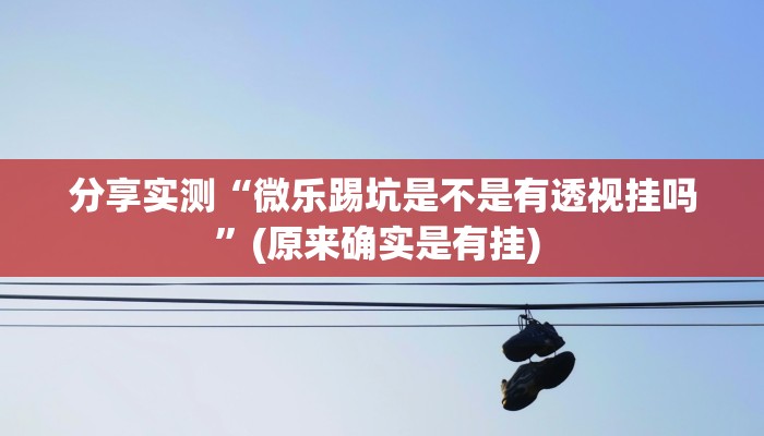 分享实测“微乐踢坑是不是有透视挂吗”(原来确实是有挂) 