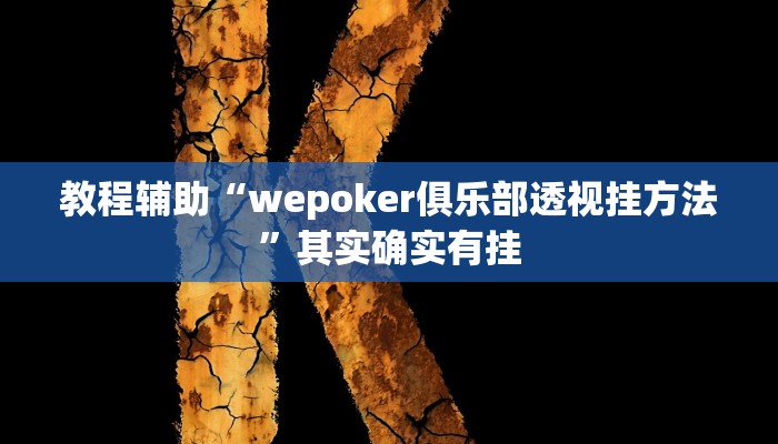 教程辅助“wepoker俱乐部透视挂方法”其实确实有挂