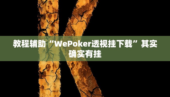 教程辅助“WePoker透视挂下载”其实确实有挂