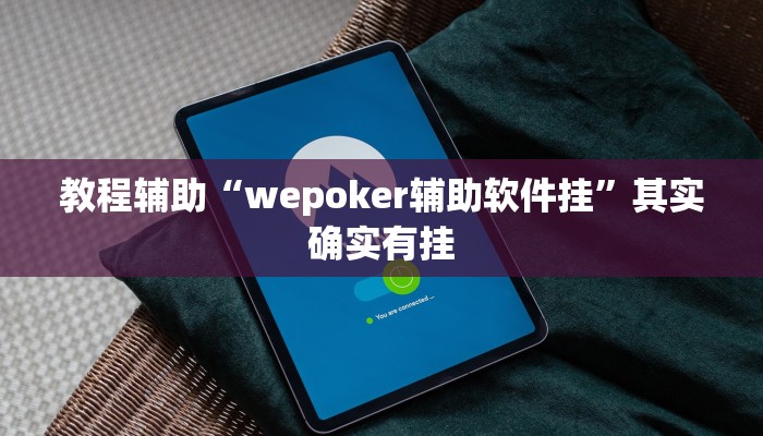 教程辅助“wepoker辅助软件挂”其实确实有挂