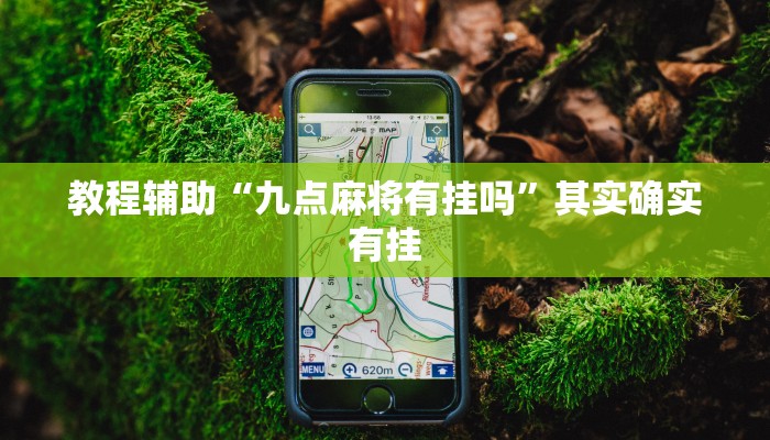 教程辅助“九点麻将有挂吗”其实确实有挂 教程辅助“九点麻将有挂吗”其实确实有挂