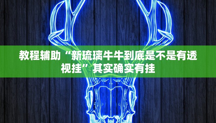 教程辅助“新琉璃牛牛到底是不是有透视挂”其实确实有挂