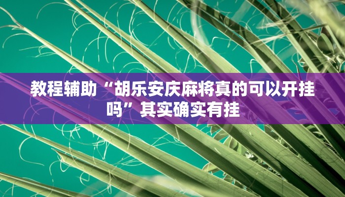 教程辅助“胡乐安庆麻将真的可以开挂吗”其实确实有挂