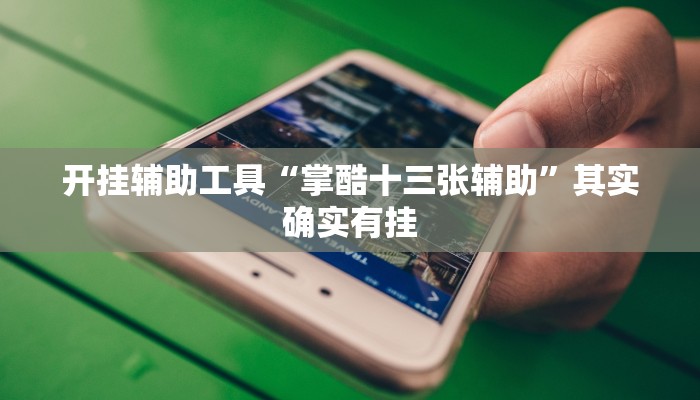 开挂辅助工具“掌酷十三张辅助”其实确实有挂