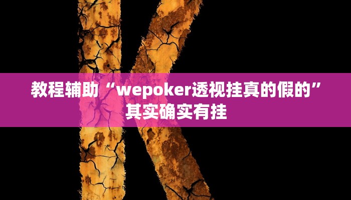 教程辅助“wepoker透视挂真的假的”其实确实有挂