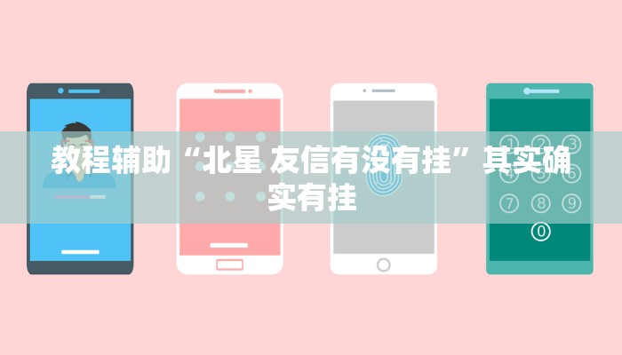 教程辅助“北星 友信有没有挂”其实确实有挂