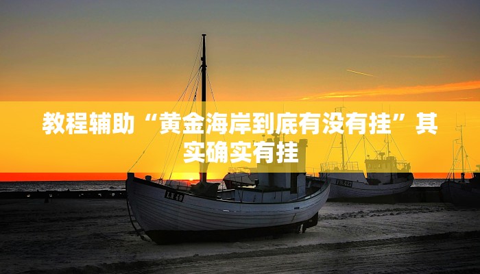 教程辅助“黄金海岸到底有没有挂”其实确实有挂