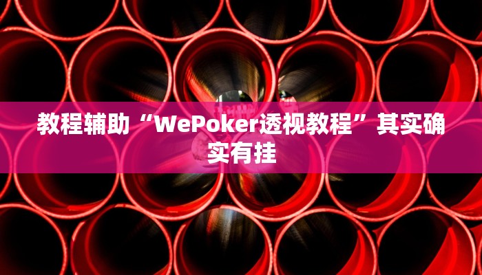 教程辅助“WePoker透视教程”其实确实有挂 教程辅助“WePoker透视教程”其实确实有挂