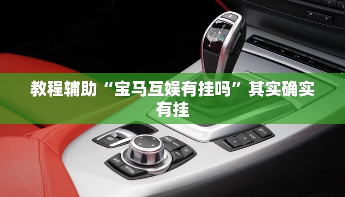 教程辅助“宝马互娱有挂吗”其实确实有挂