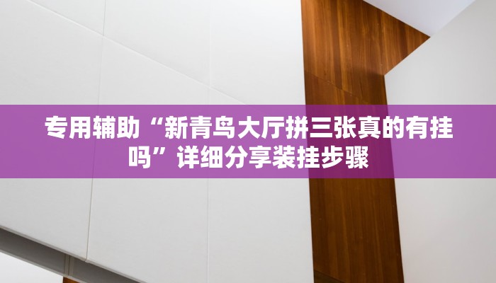 专用辅助“新青鸟大厅拼三张真的有挂吗”详细分享装挂步骤 专用辅助“新青鸟大厅拼三张真的有挂吗”详细分享装挂步骤