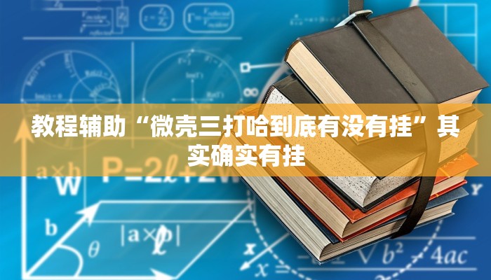 教程辅助“微壳三打哈到底有没有挂”其实确实有挂