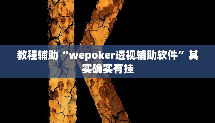 教程辅助“wepoker透视辅助软件”其实确实有挂