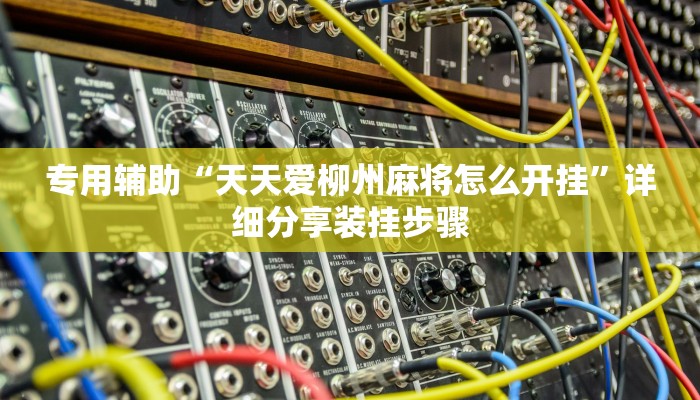 专用辅助“天天爱柳州麻将怎么开挂”详细分享装挂步骤