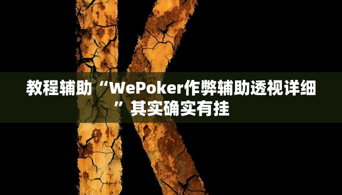 教程辅助“WePoker作弊辅助透视详细”其实确实有挂