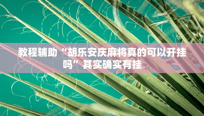 教程辅助“胡乐安庆麻将真的可以开挂吗”其实确实有挂
