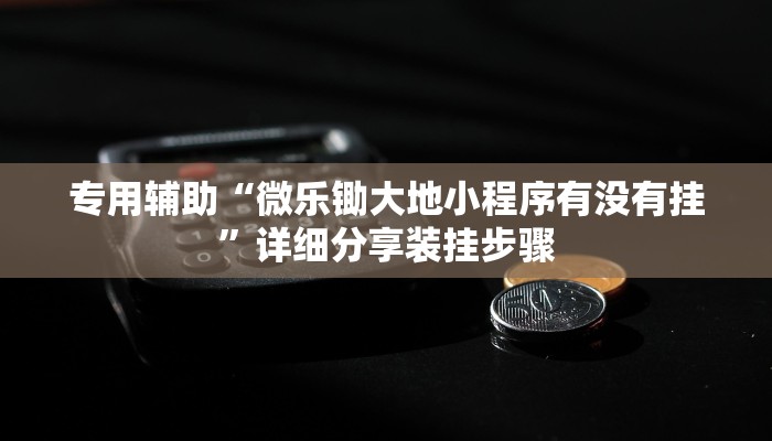 专用辅助“微乐锄大地小程序有没有挂”详细分享装挂步骤