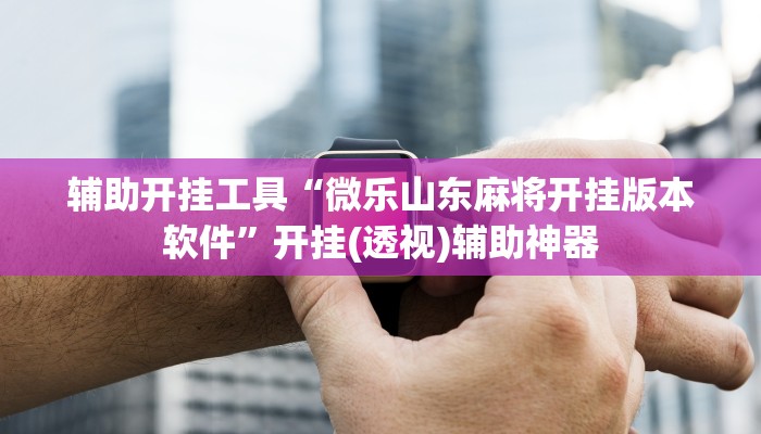 辅助开挂工具“微乐山东麻将开挂版本软件”开挂(透视)辅助神器