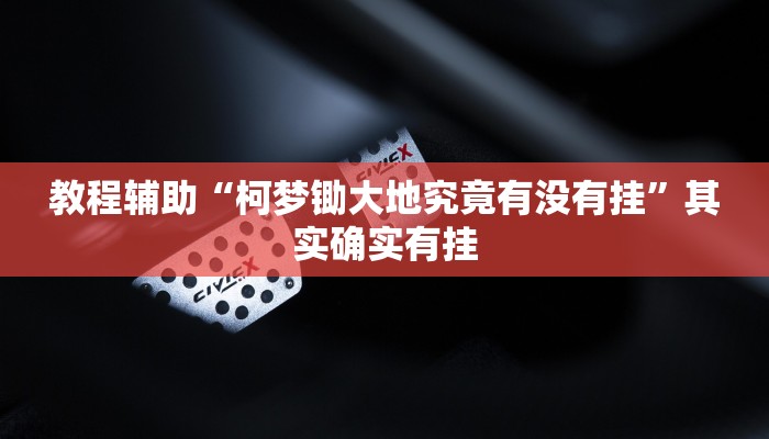 教程辅助“柯梦锄大地究竟有没有挂”其实确实有挂
