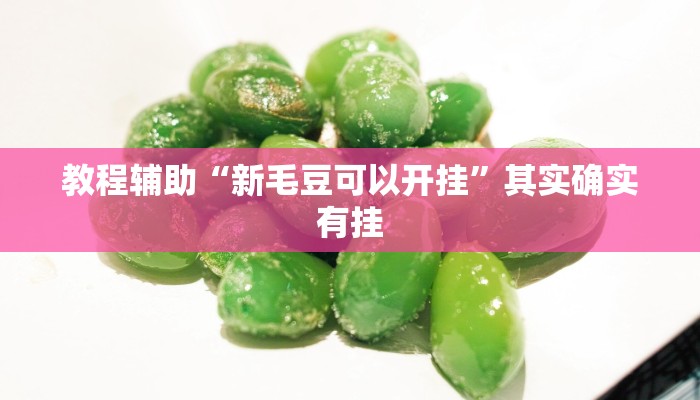 教程辅助“新毛豆可以开挂”其实确实有挂 教程辅助“新毛豆可以开挂”其实确实有挂