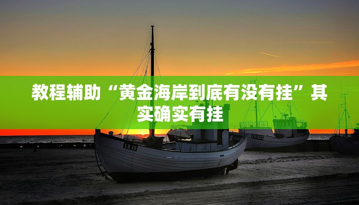 教程辅助“黄金海岸到底有没有挂”其实确实有挂
