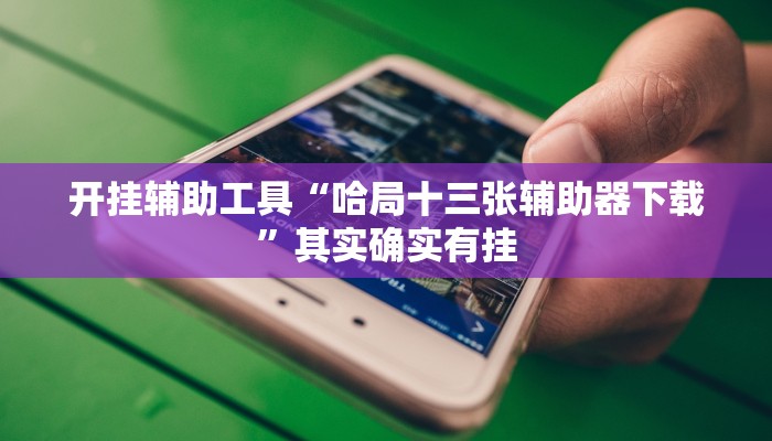 开挂辅助工具“哈局十三张辅助器下载”其实确实有挂