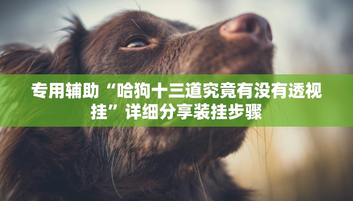 专用辅助“哈狗十三道究竟有没有透视挂”详细分享装挂步骤 专用辅助“哈狗十三道究竟有没有透视挂”详细分享装挂步骤