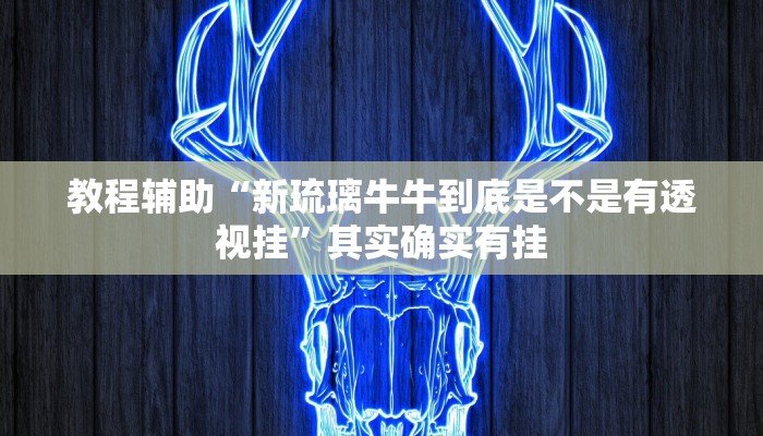 教程辅助“新琉璃牛牛到底是不是有透视挂”其实确实有挂