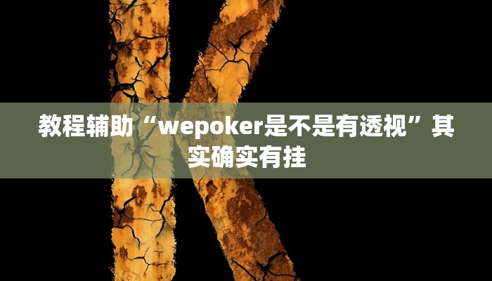 教程辅助“wepoker是不是有透视”其实确实有挂