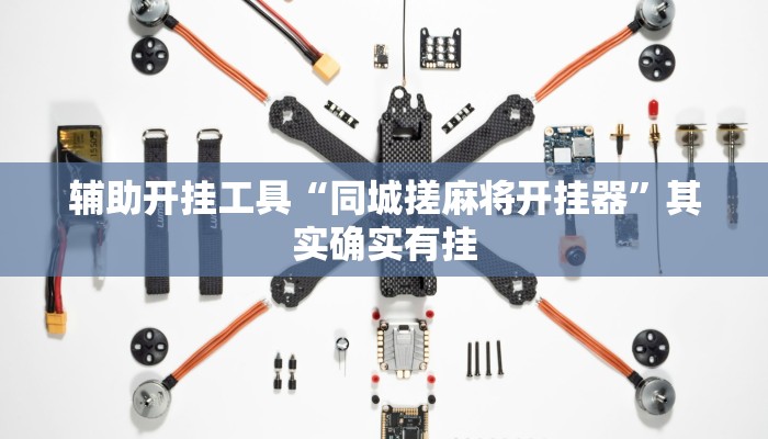 辅助开挂工具“同城搓麻将开挂器”其实确实有挂