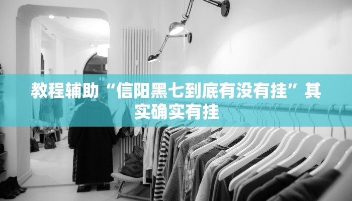 教程辅助“信阳黑七到底有没有挂”其实确实有挂