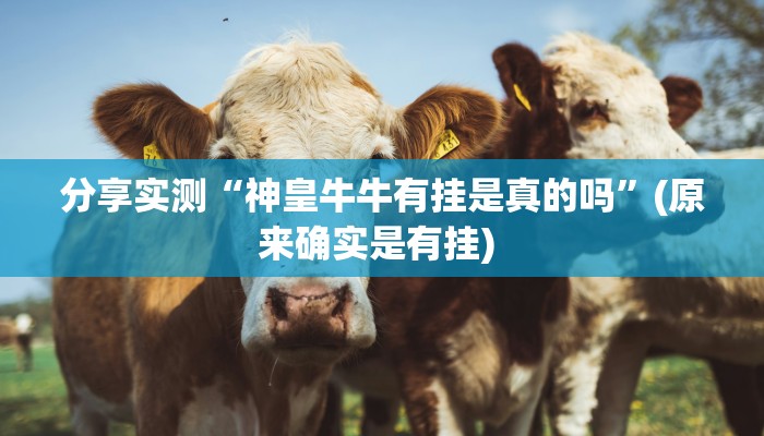 分享实测“神皇牛牛有挂是真的吗”(原来确实是有挂) 