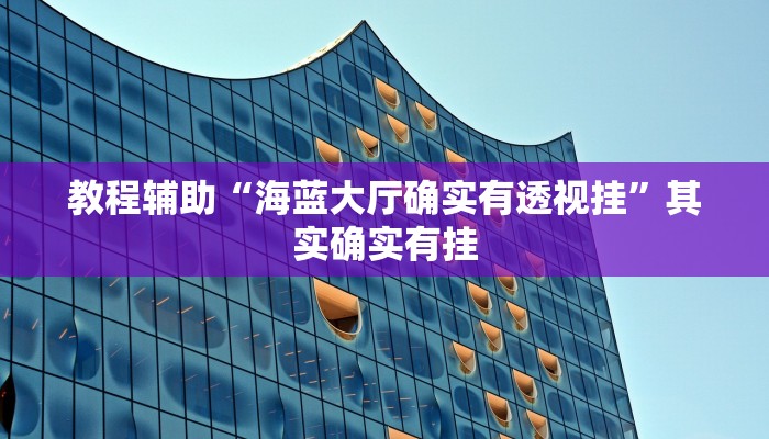 教程辅助“海蓝大厅确实有透视挂”其实确实有挂